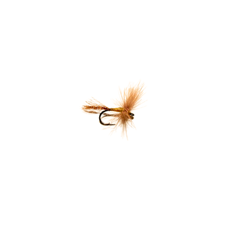BA CDC PMD