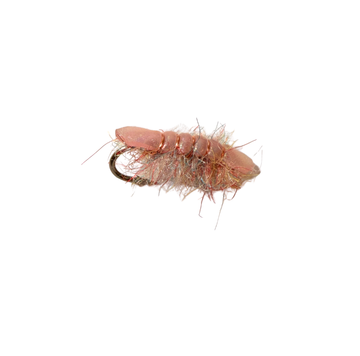 UV Yum Yum Sowbug