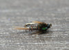Green Wire Pheasant Tail